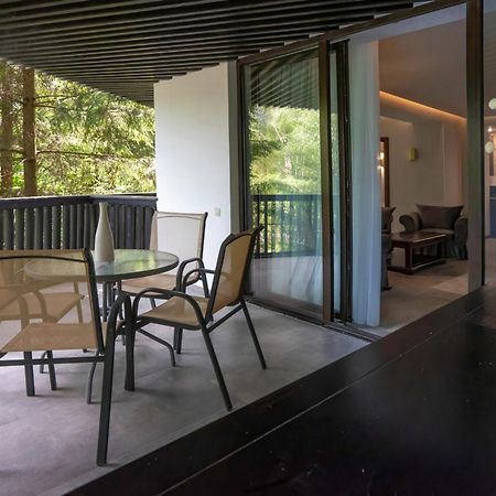 Poiana Brasov Alpin Executive Apartment ภายนอก รูปภาพ